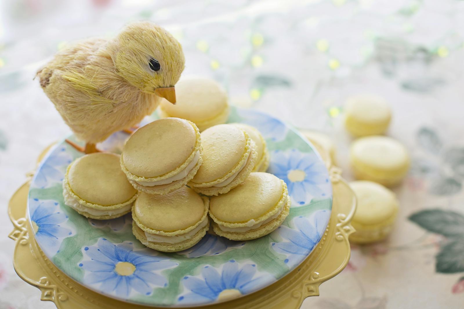 Vegan Macarons Recipe - Here's How To Make Them!